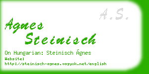 agnes steinisch business card