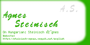 agnes steinisch business card